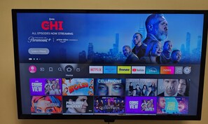 Television - Cozy 1-bedroom house with WiFi, AC in delightful College Park (College Park)