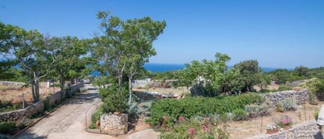 A coastal property with a paved driveway, stone walls, and lush greenery.