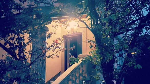 Un escalier menant à une porte surmontée d’une source de lumière, le tout entouré de feuillage et de plantes.