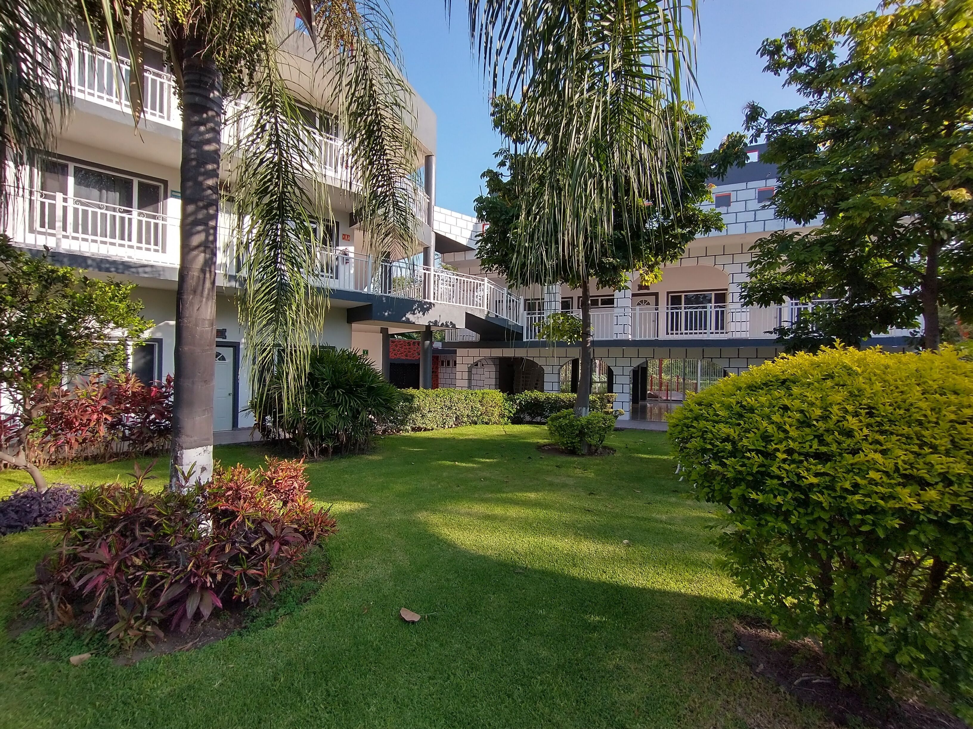 Un patio con césped, palmeras y un edificio de varios pisos con balcones.