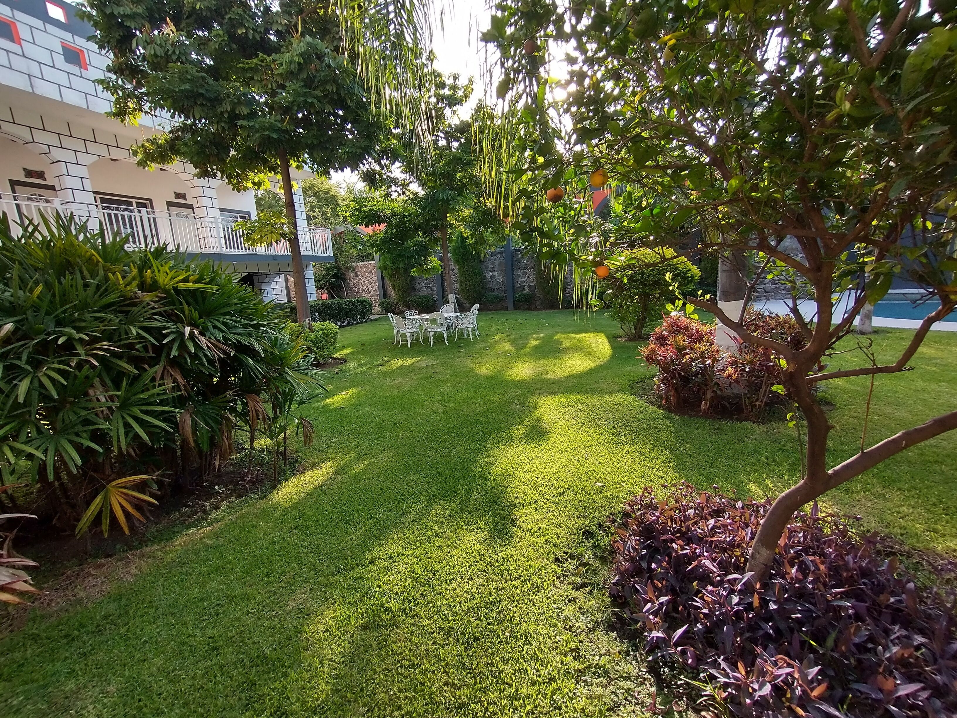 A well-maintained garden with a lawn, a dining table with chairs, and a variety of plants.