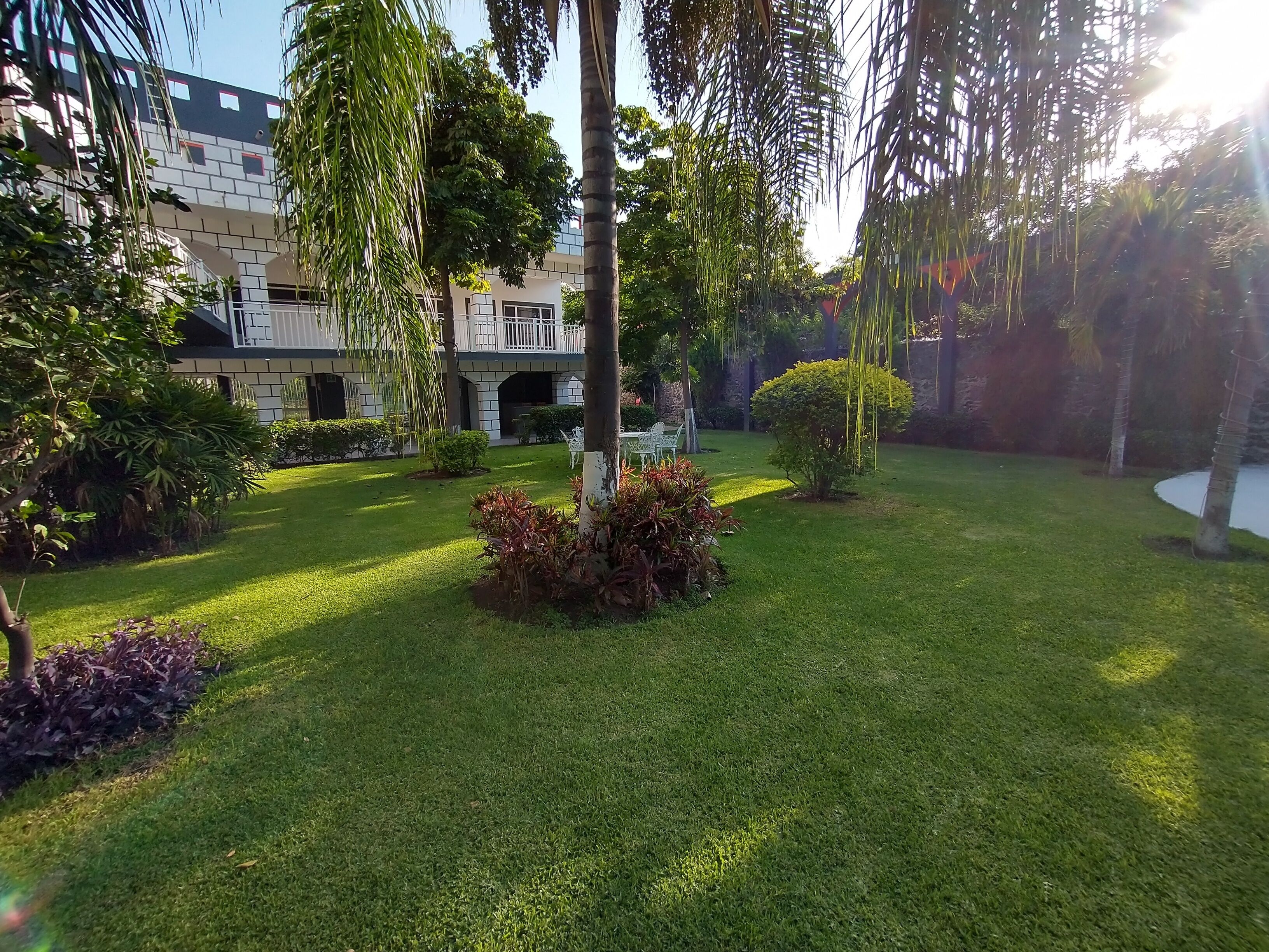 Un jardín cuidado con diversas plantas y un cielo despejado.