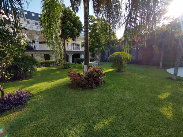 A well-maintained garden with a variety of plants and a clear sky.
