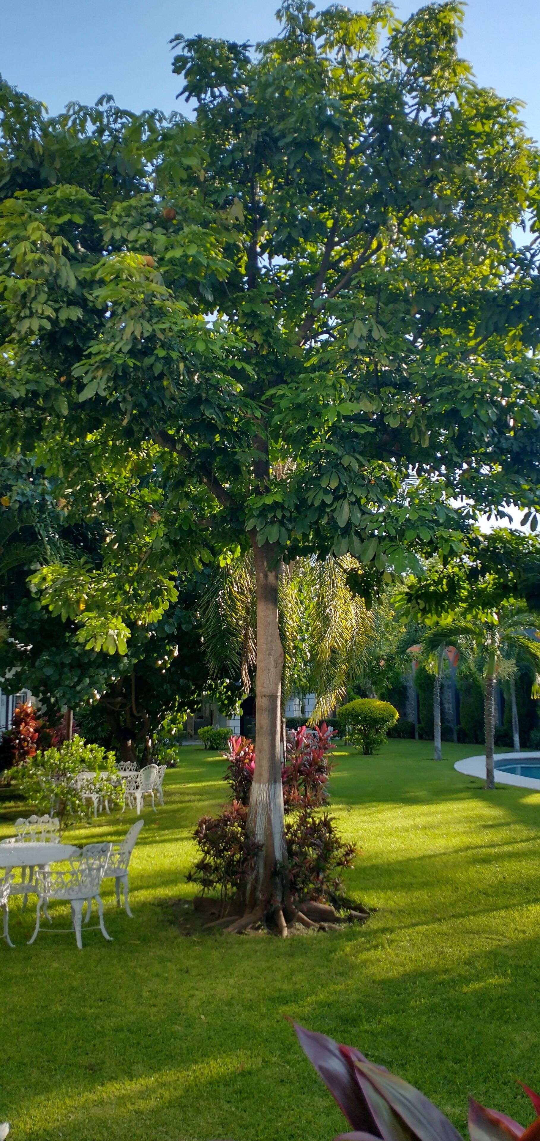 Jardín