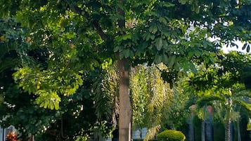 Jardín