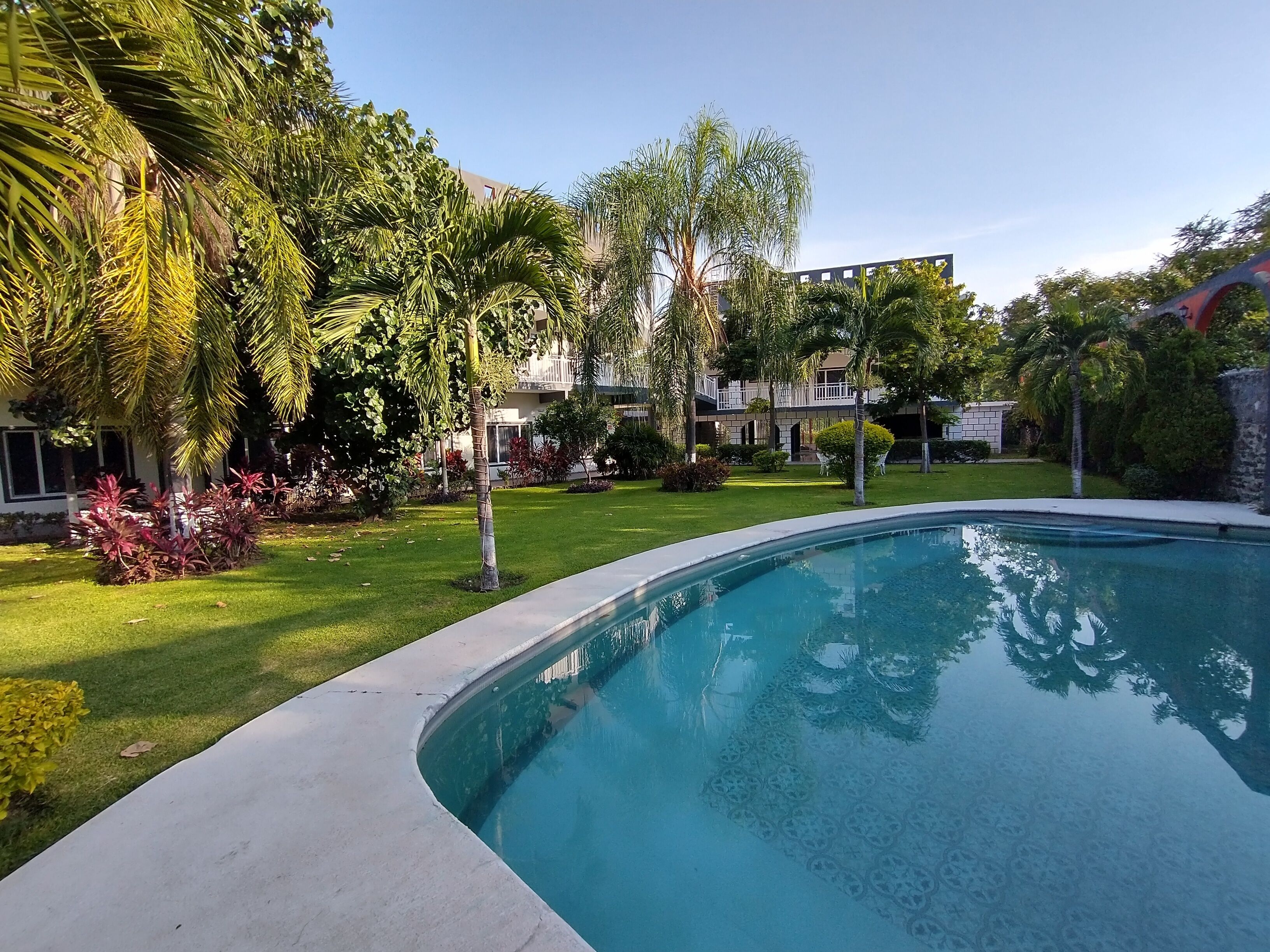 Une piscine entourée de pelouse bien entretenue et de divers arbres, avec un bâtiment en arrière-plan.