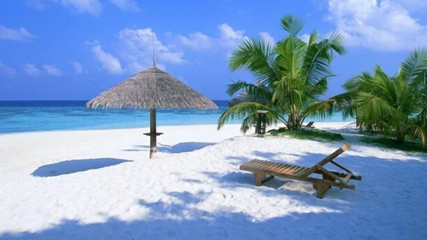 A beach with a thatched umbrella, a wooden lounge chair, and palm trees. - Longxing Lehman Sea View Resort (Sanya)