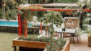 Un jardin agrémenté d’un banc en bois, d’une table et de chaises, entouré de différentes plantes et d’une pergola.