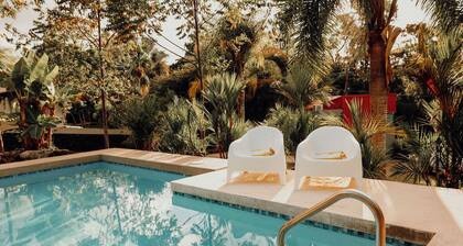 Mata e' Platano Guesthouse #7, Luquillo PR