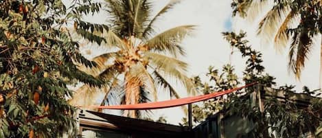 Un edificio moderno con fachada de vidrio, rodeado de vegetación exuberante y una palmera.