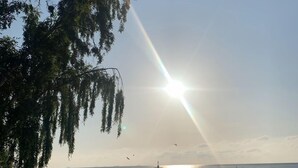 Uma praia com céu claro, sol brilhando e uma pessoa próxima à água.