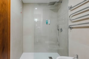 Shower, hair dryer, bidet, towels
