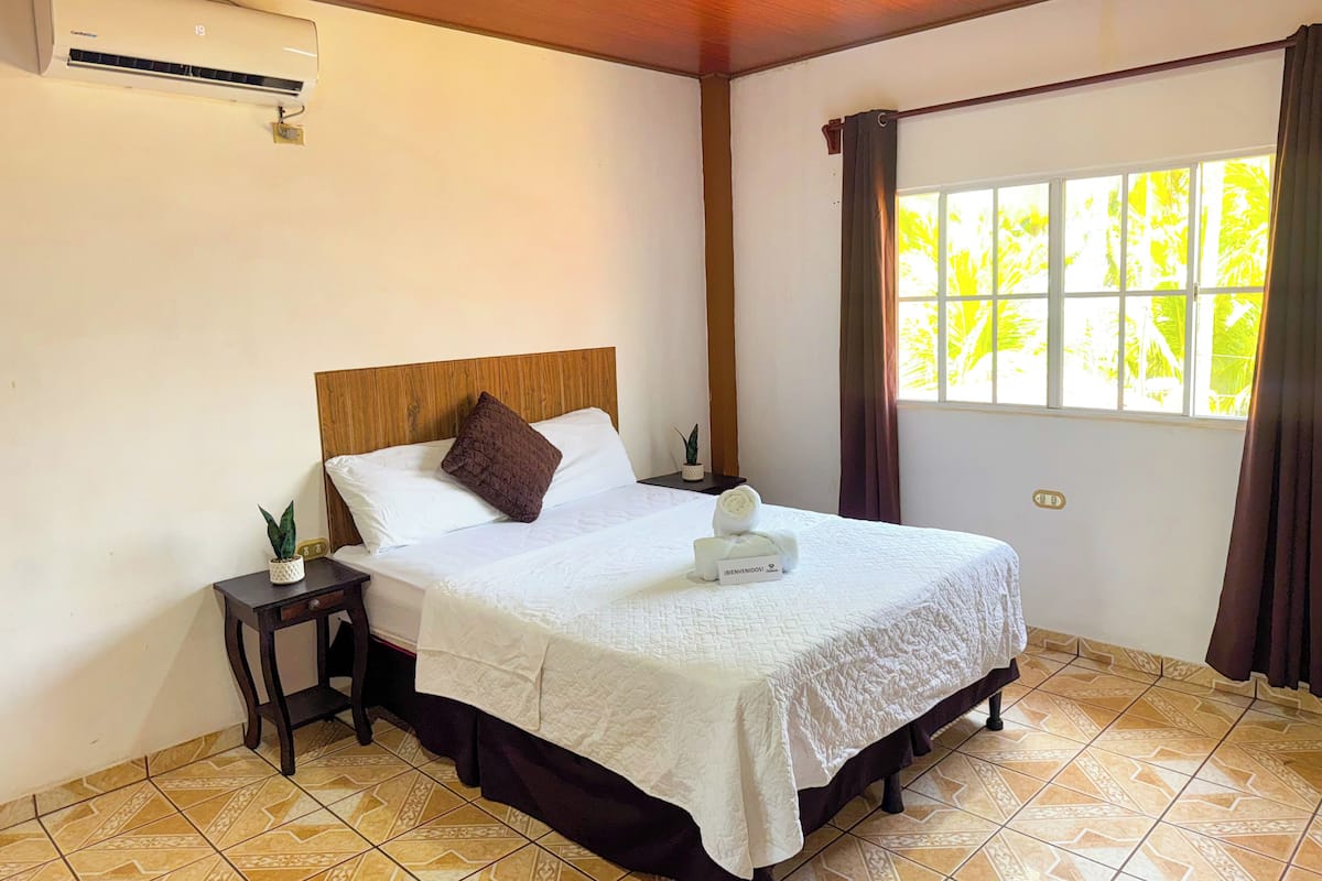 A neatly made bed with a white bedspread and a brown pillow, a bedside table with a plant, and a window with curtains.
