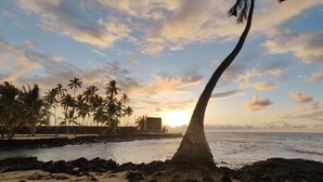 A beach scene with a palm tree, ocean, and sunset. - Ocean & Golf Views | Remodeled Kona Villa w/ AC (Kailua-kona)