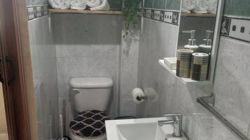 Serviettes fournies, savon, papier toilette