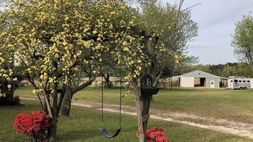 A tree with yellow flowers, a swing, and a building in the background.
