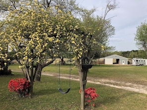 A tree with yellow flowers, a swing, and a building in the background. - Pool, ZERO cleaning fee, free covered parking, Tempur-Pedic KING bed. (Beech Island)