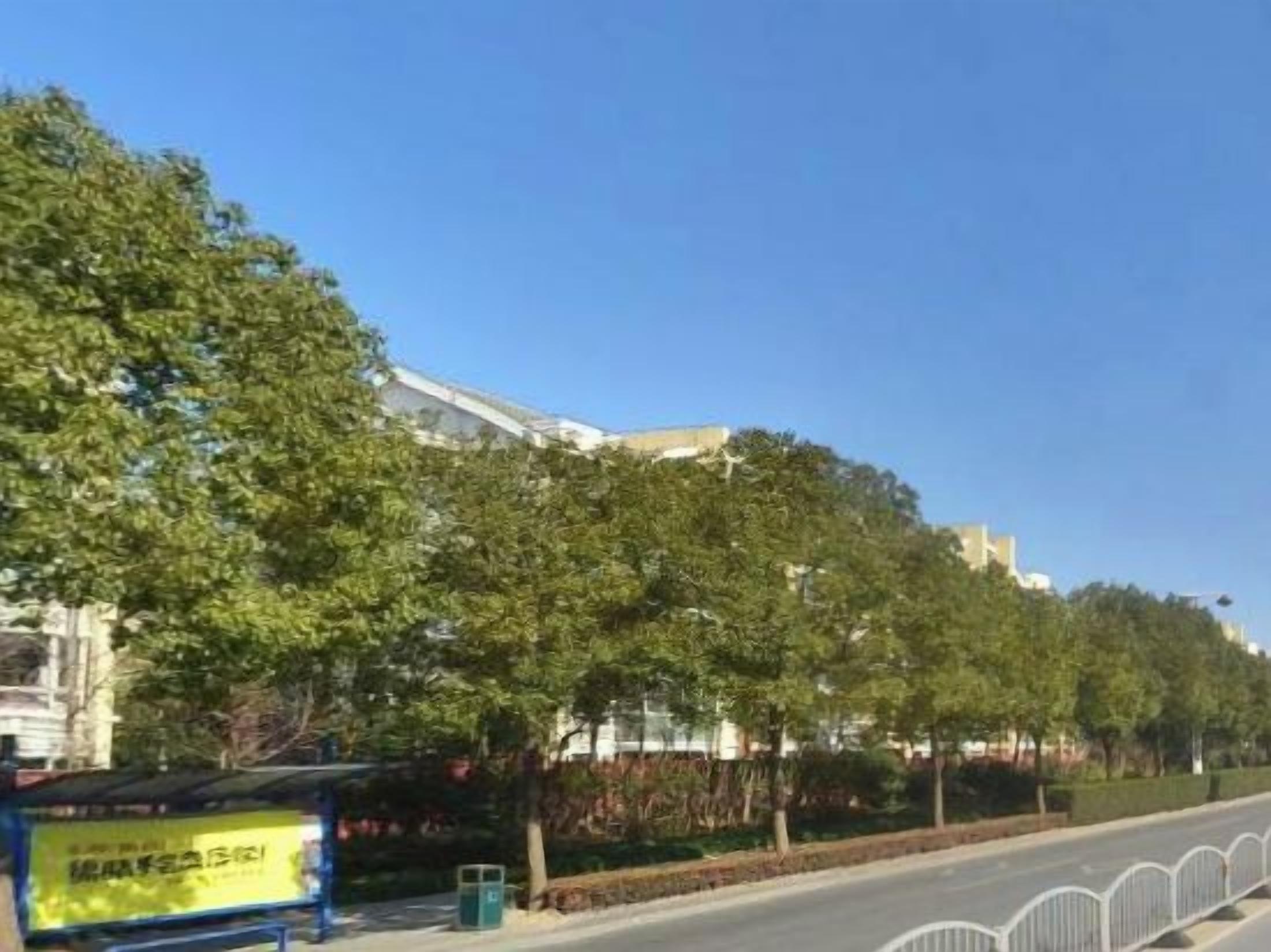 A street with a clear sky, trees, and a building in the background.