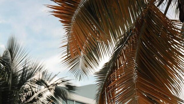 A multi-story building with a balcony on the second floor. - Luxury Beach Penthouse Luquillo (Luquillo)