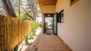 Um caminho de madeira leva a um edifício moderno com porta de vidro e vista para um jardim.