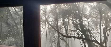 Khuôn viên nơi lưu trú