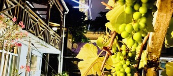 Bonvoyage Rustaveli Ave