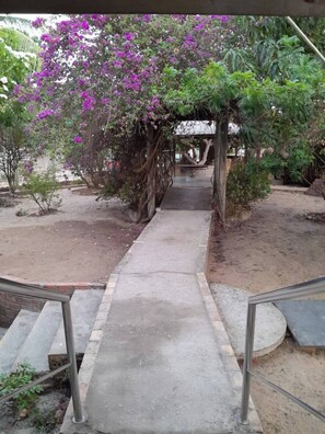 Property grounds - Casa da Mangueira 2 (Barreirinhas)