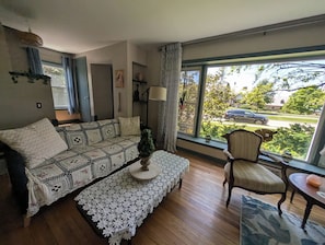 Smart TV, fireplace, DVD player, books