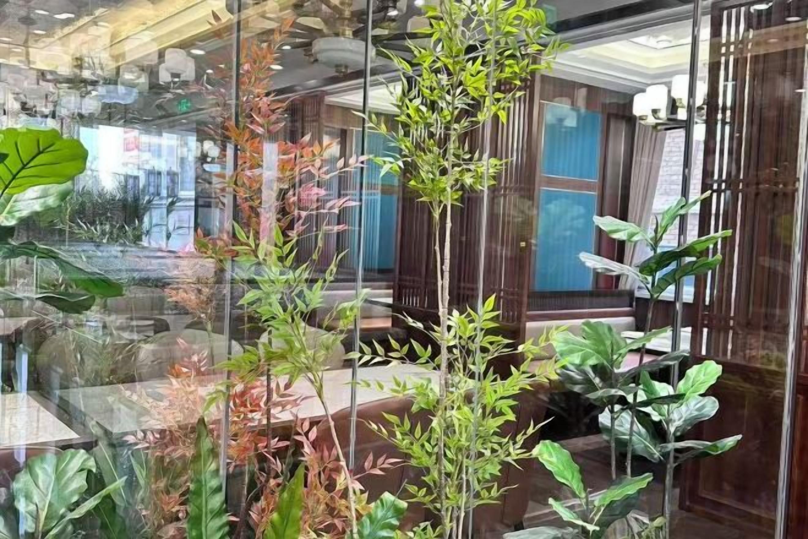 A glass-enclosed indoor space with various plants, including a tall green plant in the center.
