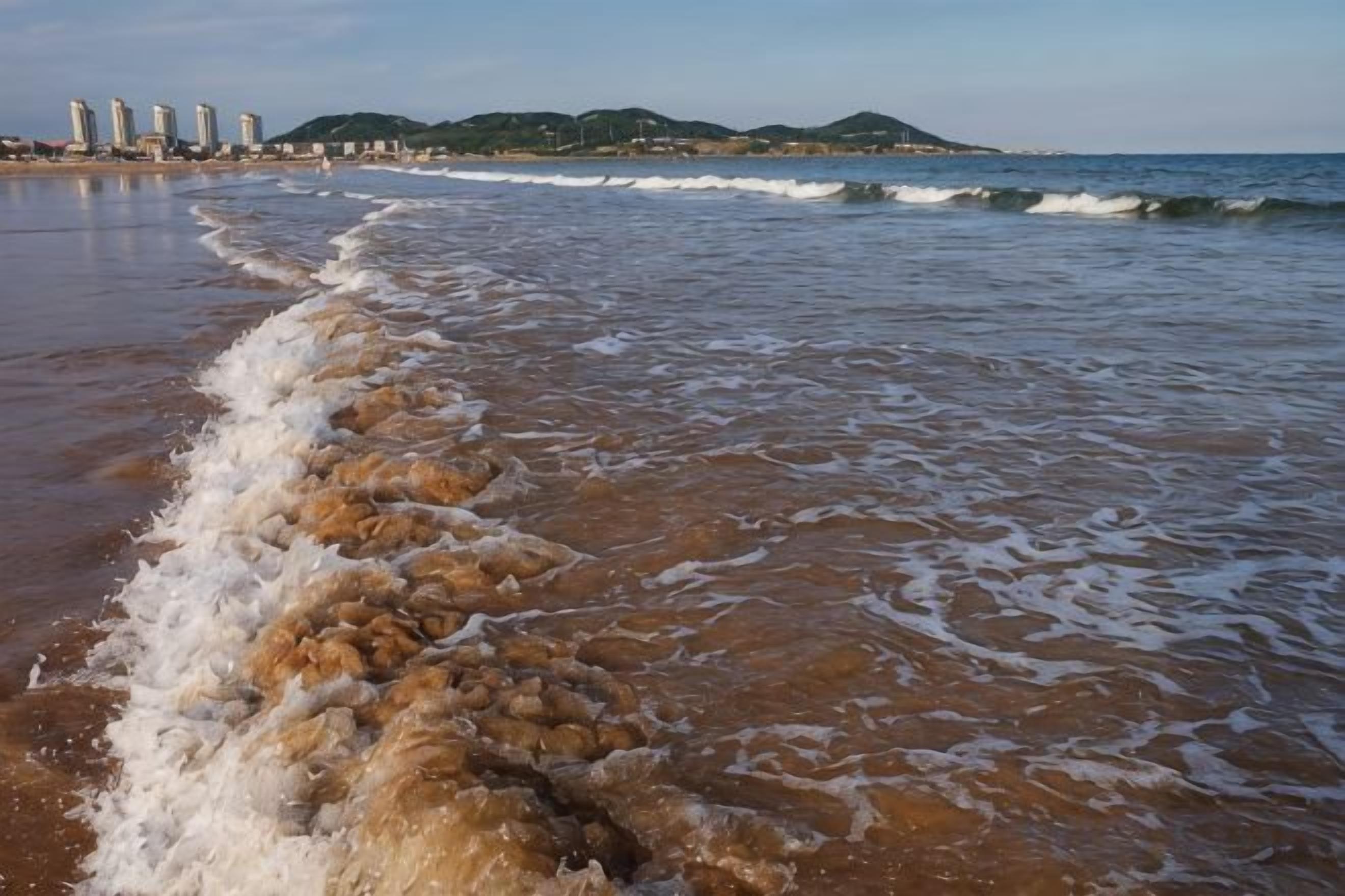 Une plage où les vagues viennent lécher le rivage, un ciel dégagé et des bâtiments qui se dressent au loin.