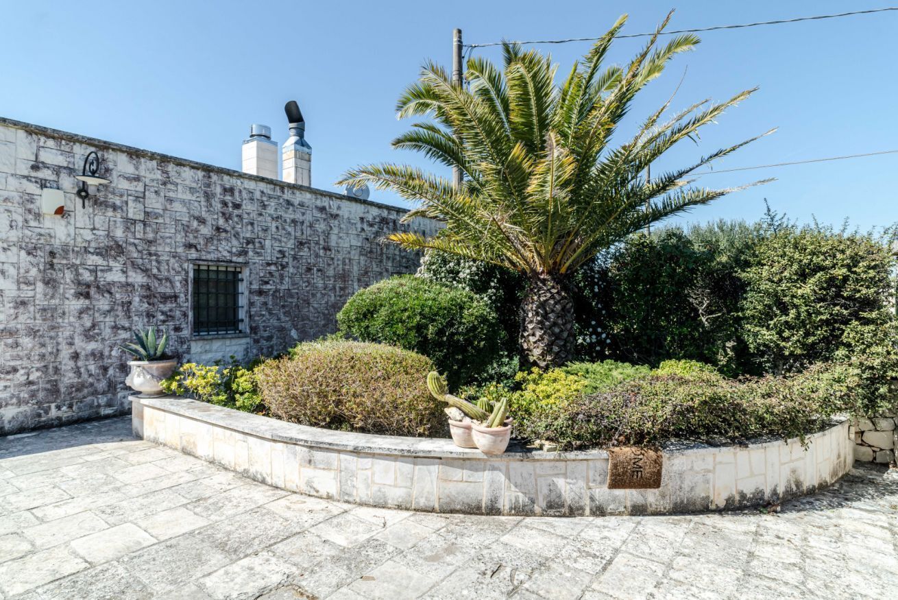 A courtyard with a stone wall, a palm tree, and various potted plants.
