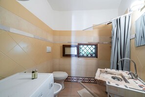 Shower, hair dryer, bidet, towels