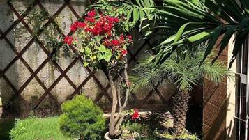 Cortile