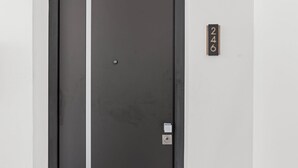 A dark-colored elevator door with a small, white switch and a number plate indicating room 246. - B246 - Breathtaking Lagoon View with Balcony (Sint Maarten)