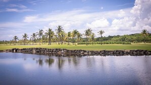 A serene golf course with a calm water body, palm trees, and a clear sky. - 3BR Apartment w/ HDTV, 5 mins from Beach, pets OK.  (Río Grande)