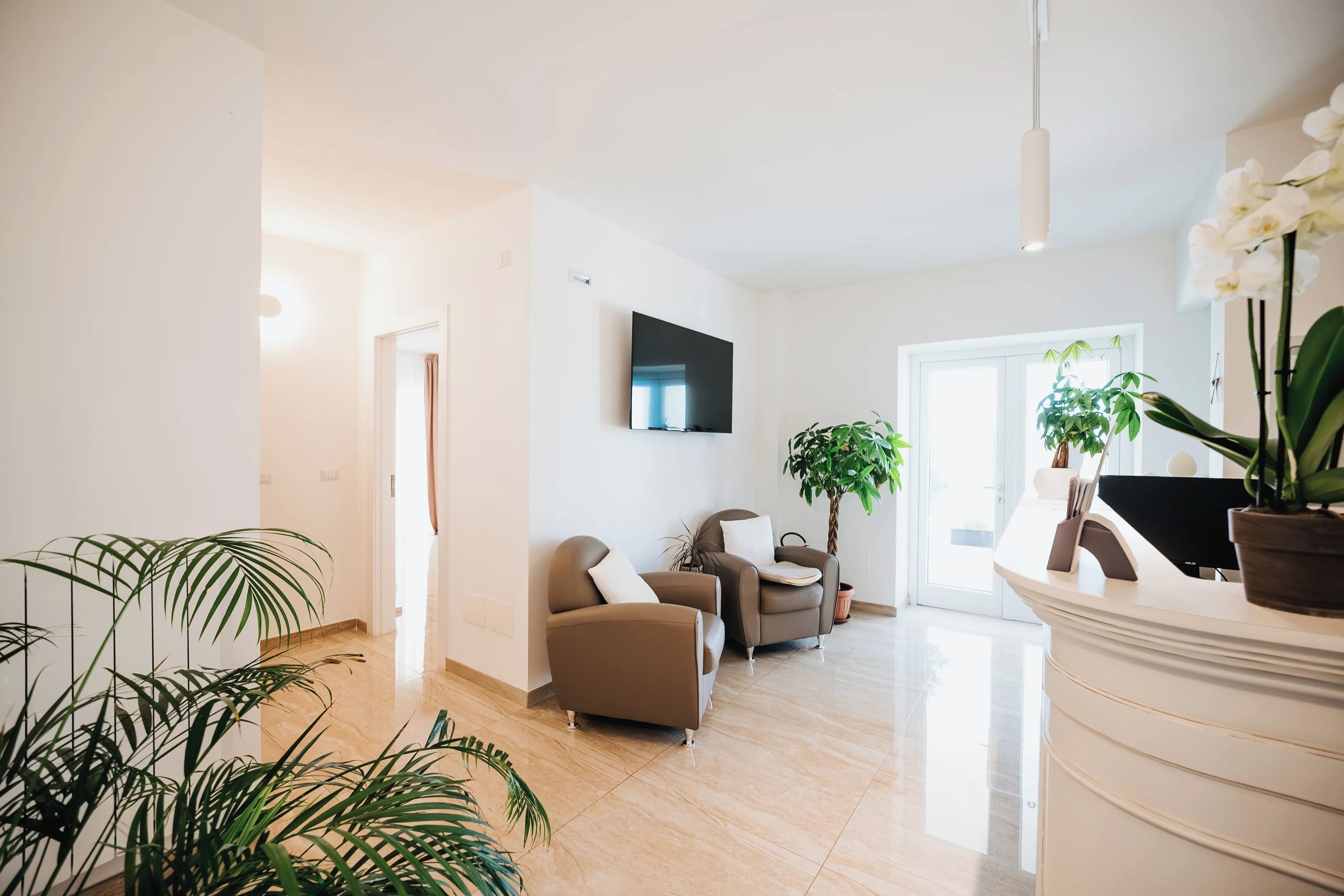 A spacious living room with a flat-screen TV mounted on the wall, a brown sofa, a chair, and several potted plants.