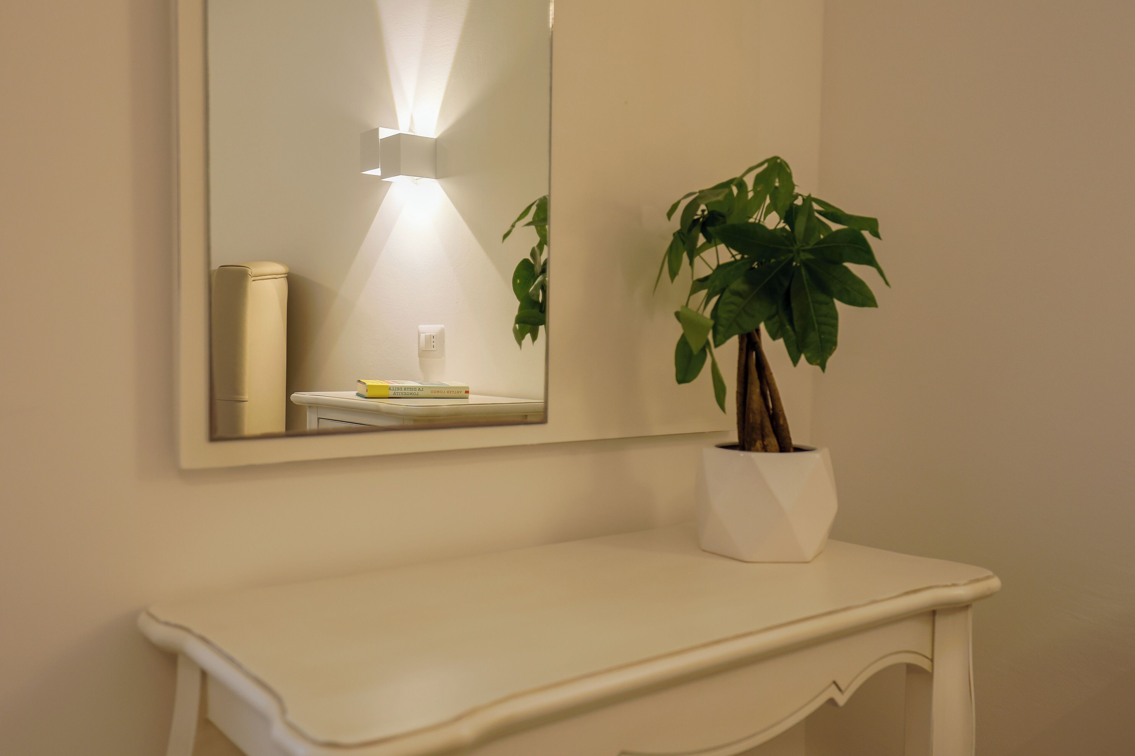 A bathroom vanity with a mirror, a potted plant, and a white countertop.