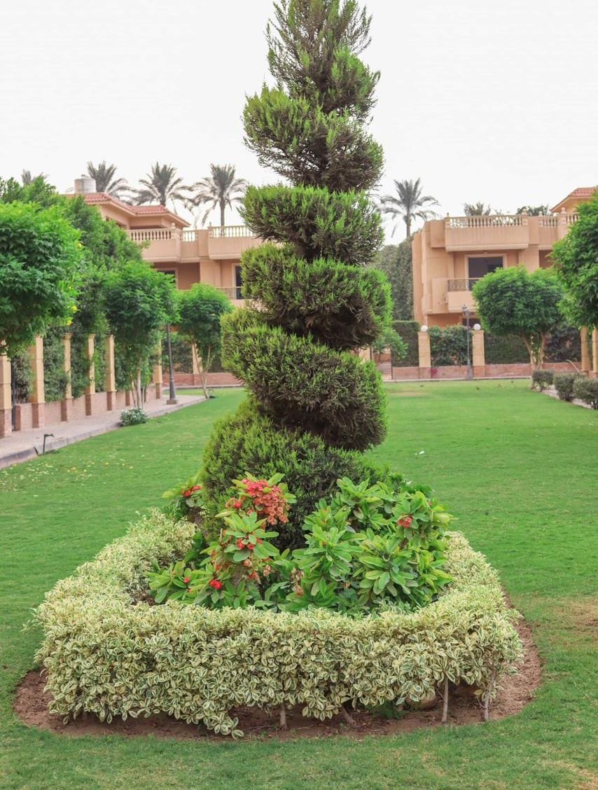A landscaped garden with a tiered tree structure, surrounded by neatly trimmed hedges and a variety of shrubs.
