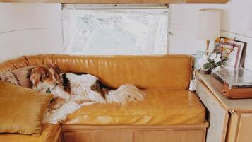 A cozy RV interior with a dog resting on a yellow couch, a wooden cabinet, and a patterned rug.