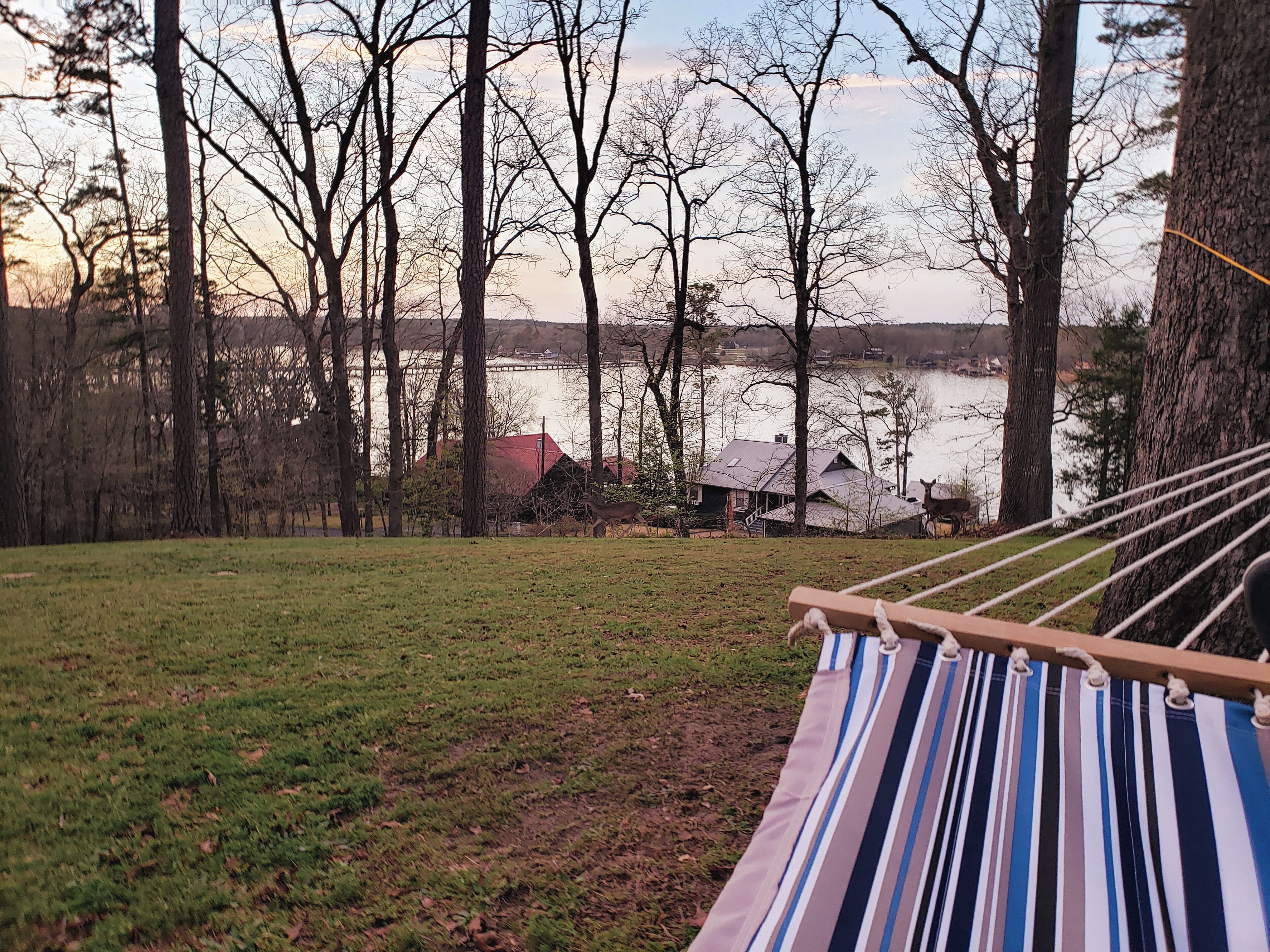 A hammock in a grassy area with trees and a lake view.