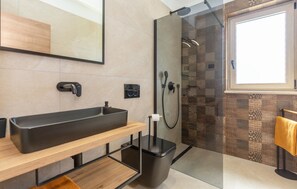 Shower, hair dryer