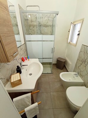 Shower, hair dryer, bidet, towels