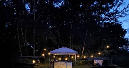 Cozy 1-bedroom Yurt Camping in Wilson