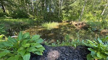 Àrea exterior de l'allotjament