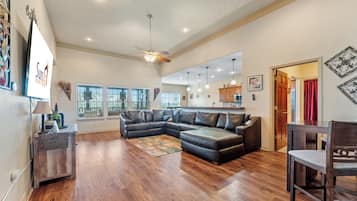 Télévision, cheminée, jeux vidéo