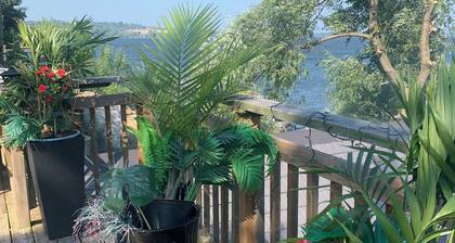 Escape to Rice Lake! Lake Front Cottage Bailieboro, Ontario Discover Bailieboro!