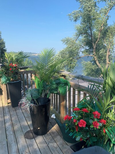 Escape to Rice Lake! Lake Front Cottage Bailieboro, Ontario Discover Bailieboro!