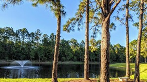 A serene park with tall pine trees, a pond with a fountain, and a bench.
