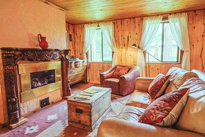 Televisión y chimenea 