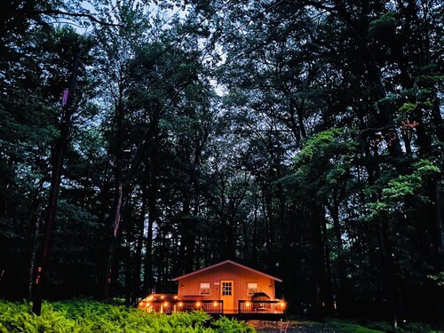 The Romantic Getaway W/Fireplace-Grill-Fire pit-walkable distance to the Lake!